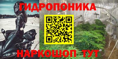 хмурый Камышлов
