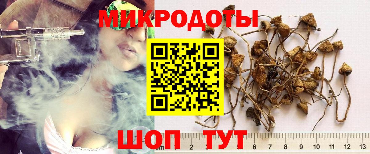 Псилоцибиновые грибы мухоморы  Вход с VPN  закладка  Лысьва 
