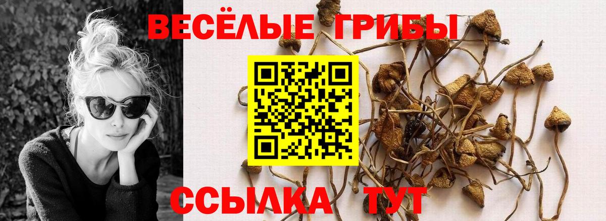 Псилоцибиновые грибы прущие грибы Лысьва